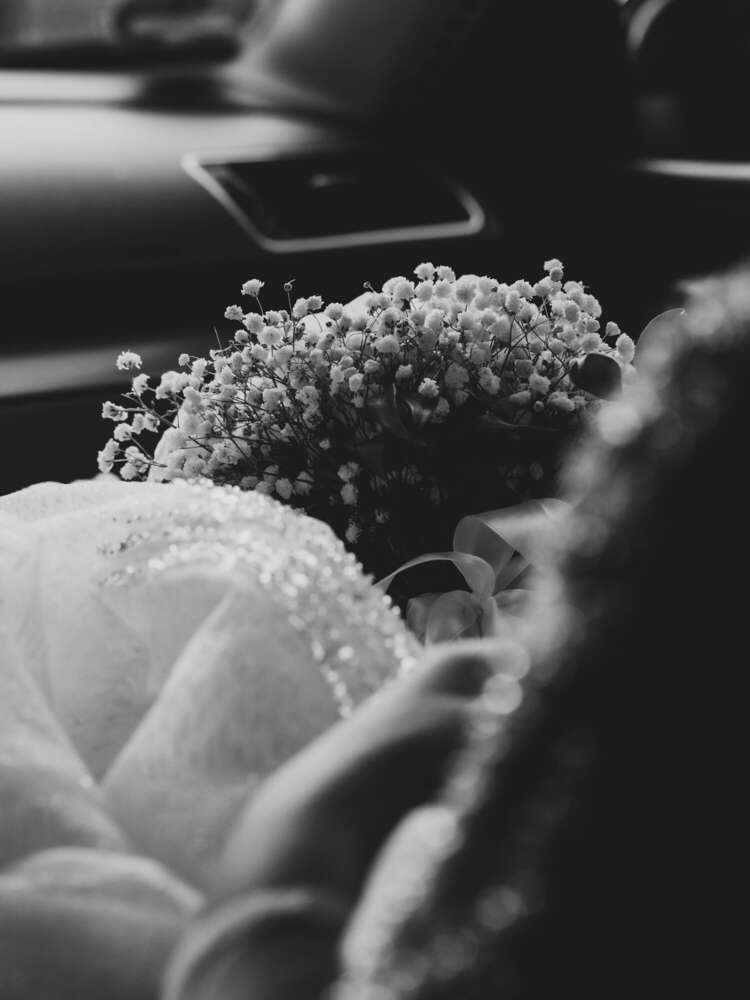 Photo Chatoyer by Nina Eisele (Photo Chatoyer by Nina Eisele)