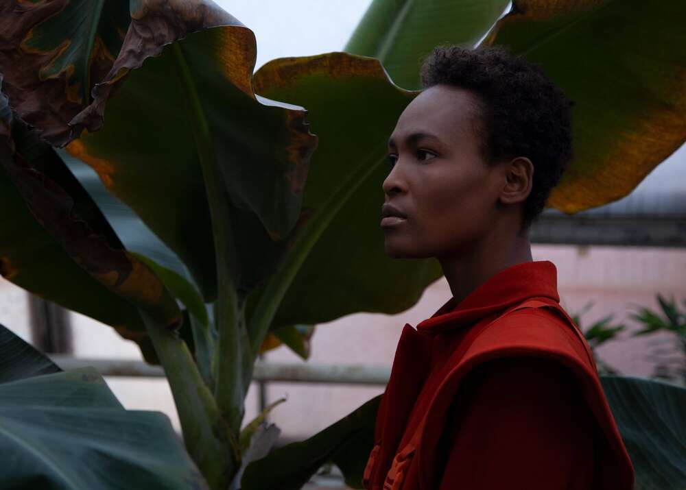 Photo Chatoyer by Nina Eisele (Photo Chatoyer by Nina Eisele)