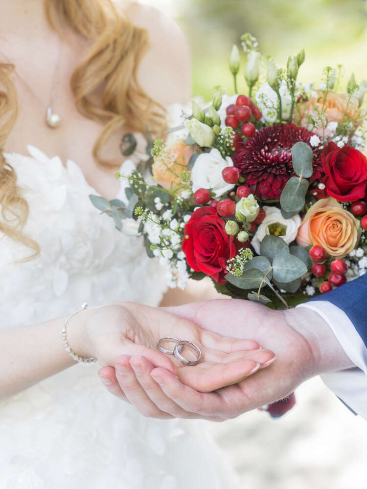 Photo Chatoyer by Nina Eisele (Photo Chatoyer by Nina Eisele)