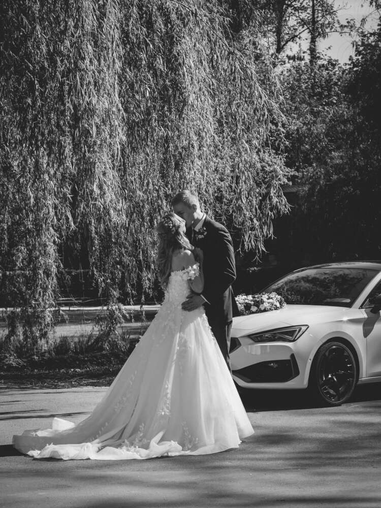 Photo Chatoyer by Nina Eisele (Photo Chatoyer by Nina Eisele)