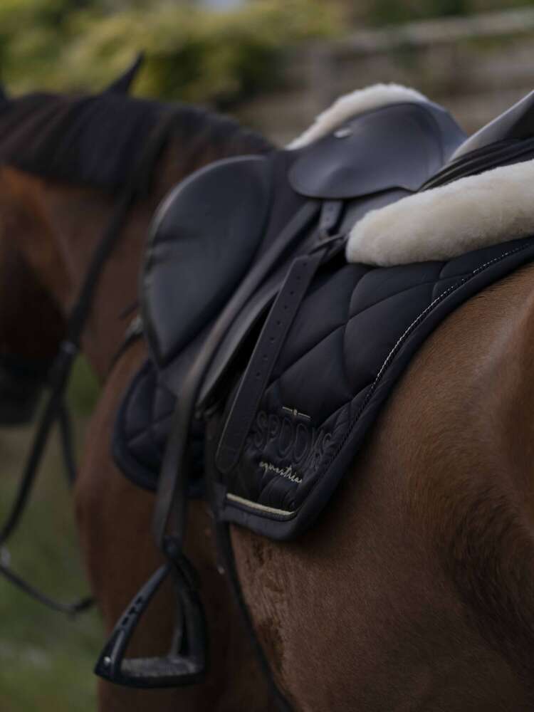 Photo Chatoyer by Nina Eisele (Photo Chatoyer by Nina Eisele)