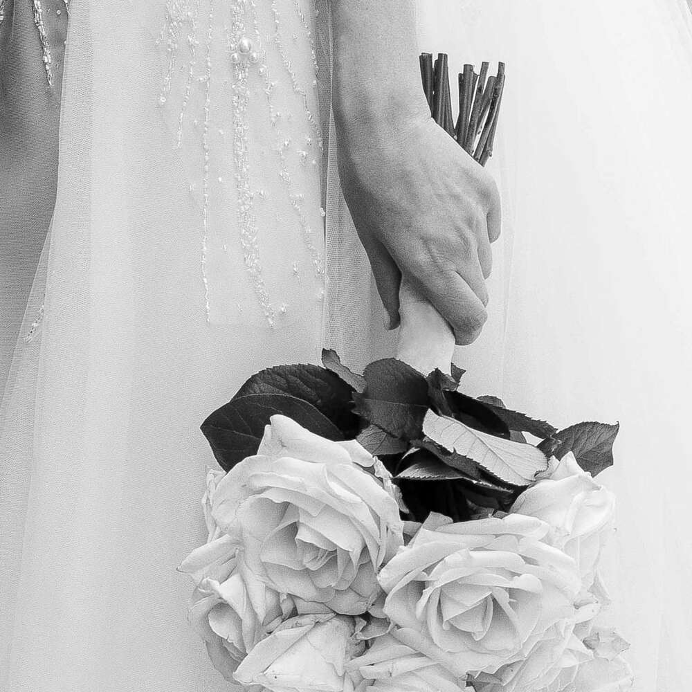 Photo Chatoyer by Nina Eisele (Photo Chatoyer by Nina Eisele)