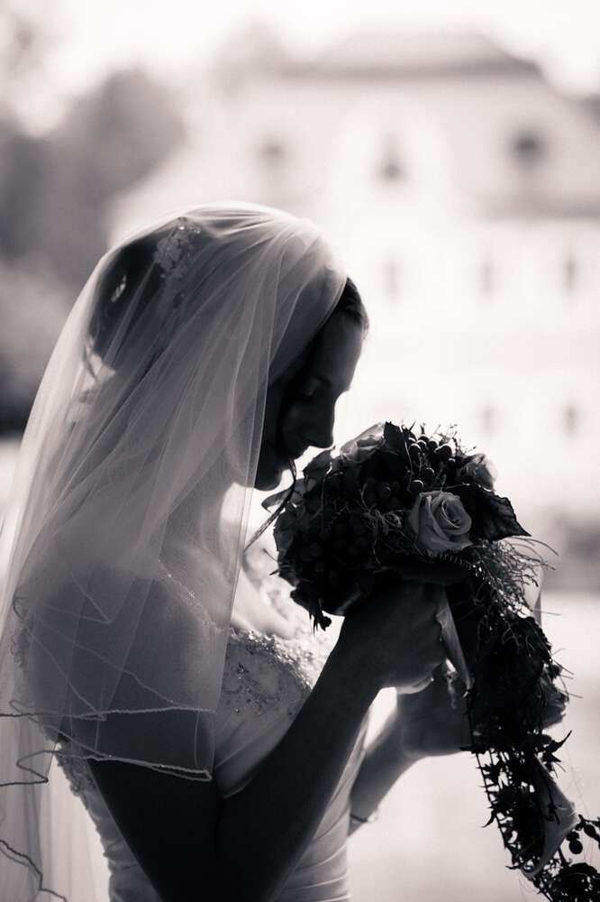 Matthias Merz (Matthias Merz)