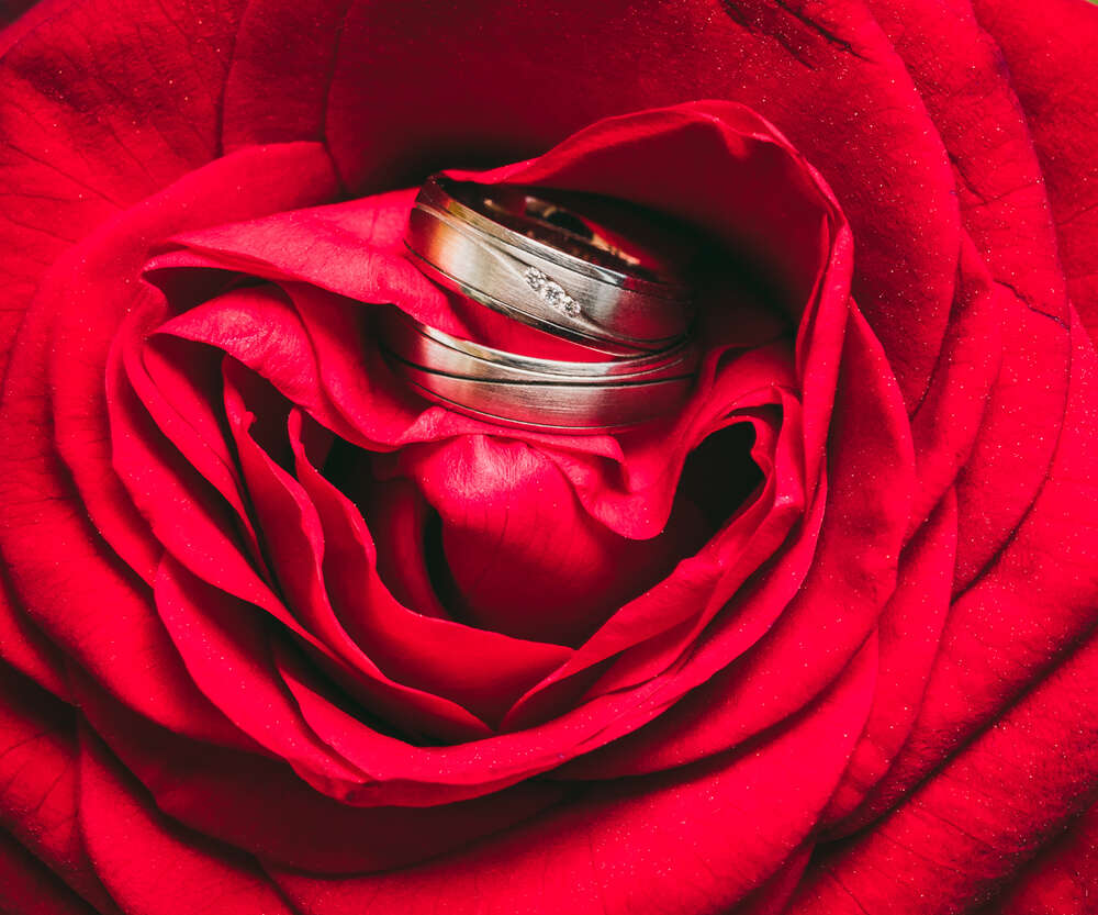 Matthias Merz (Matthias Merz)