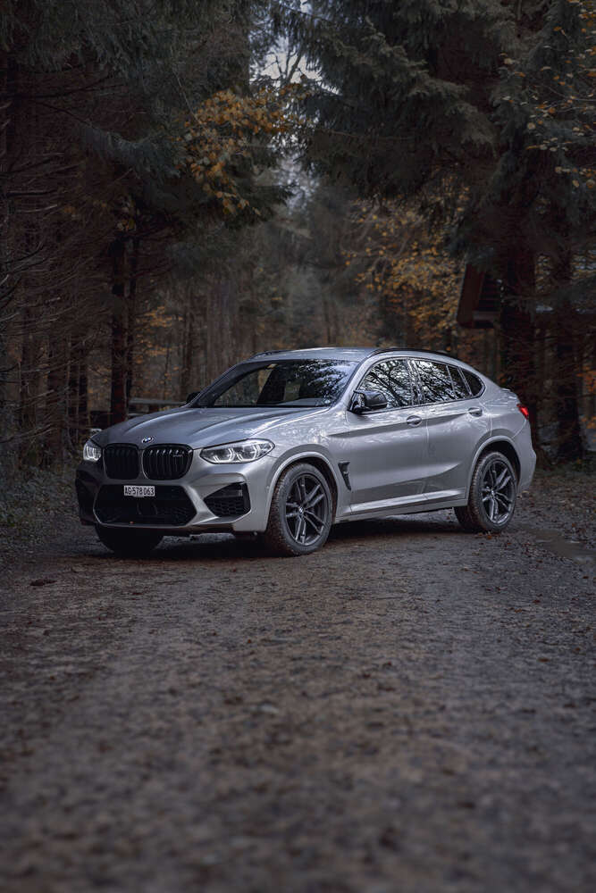 Auto in der Natur (Erol Reka)