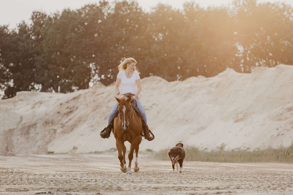 Janet Photography (Janet Photography)