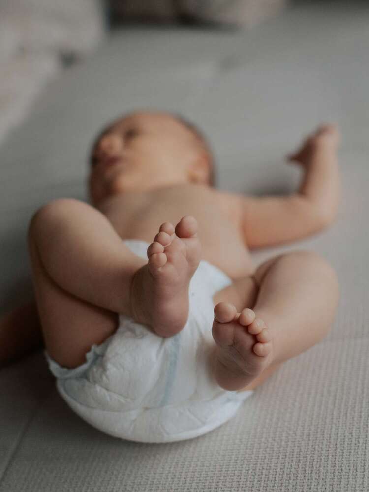 Fadi Fotografie (Fadi Fotografie)