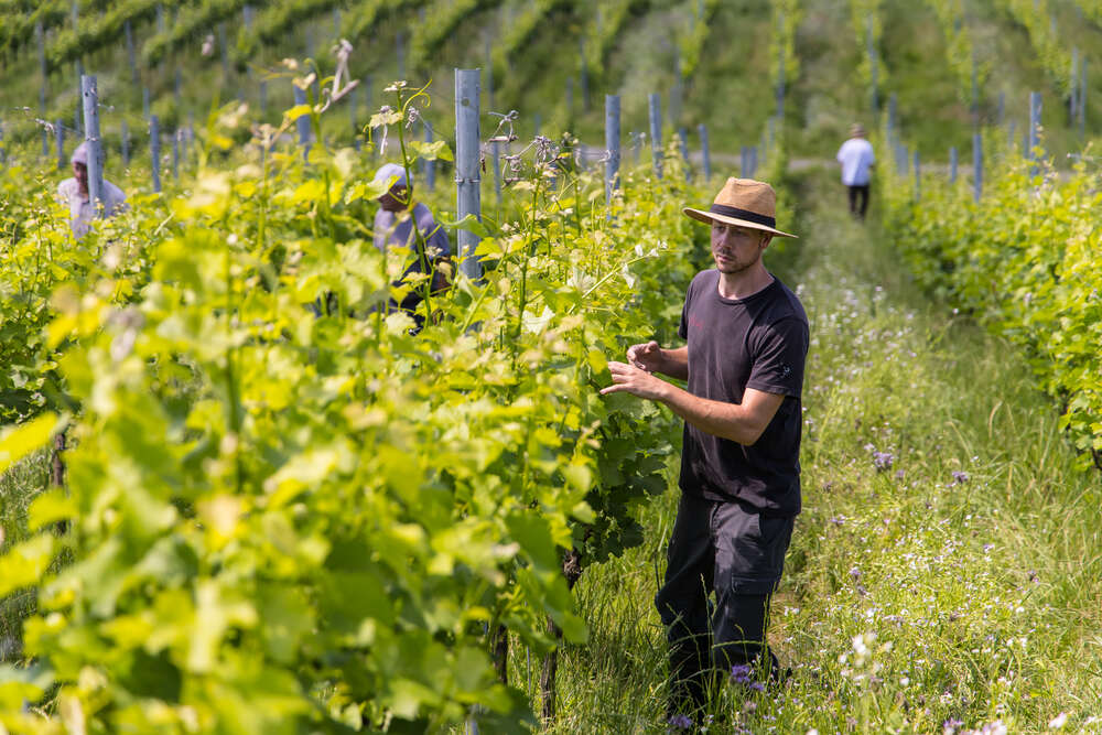 Fotos fangen Augenblicke (Fotos fangen Augenblicke)
