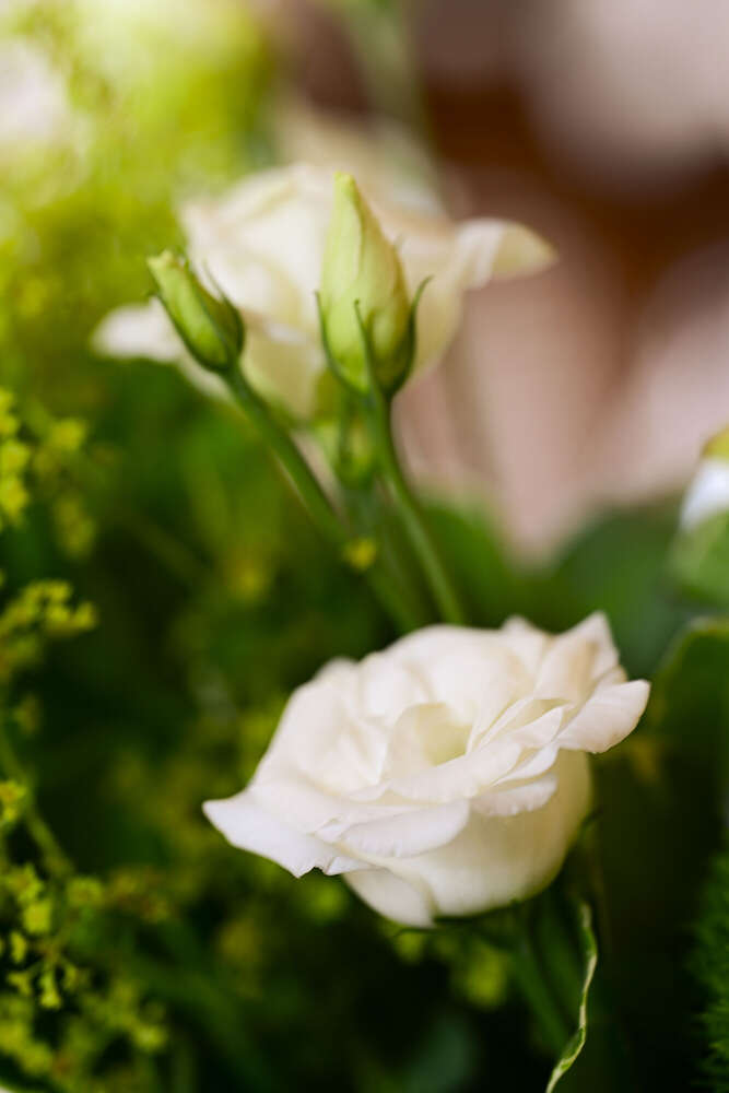 Fotografie und Medienservice (Fotografie und Medienservice)