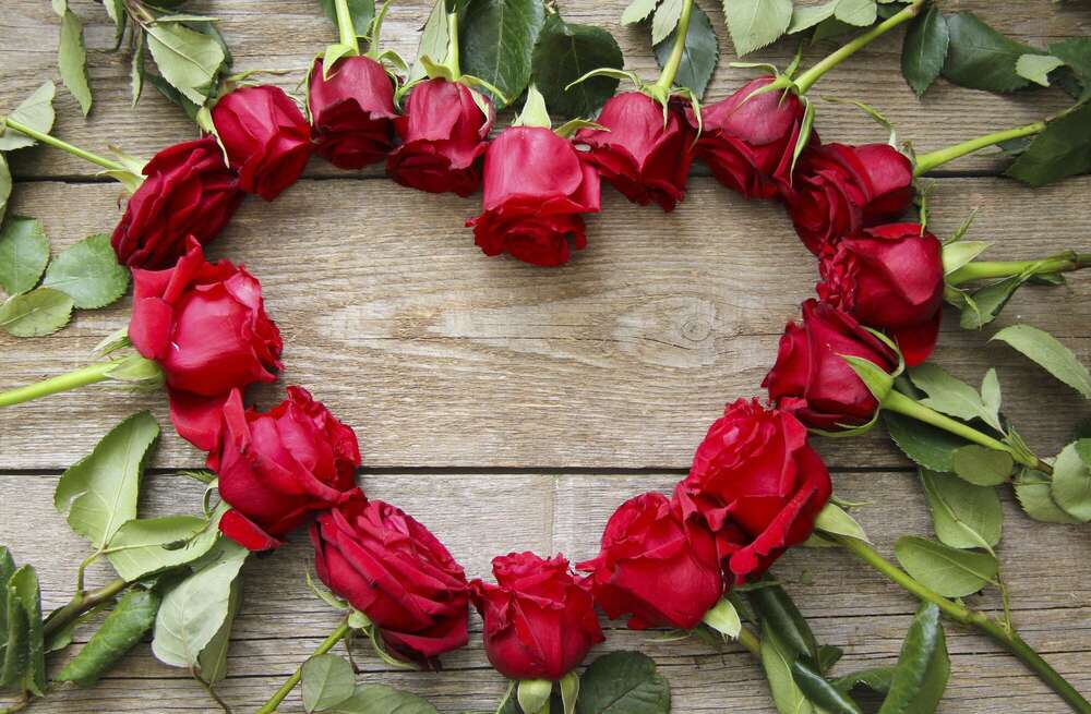 Fotografie und Medienservice (Fotografie und Medienservice)