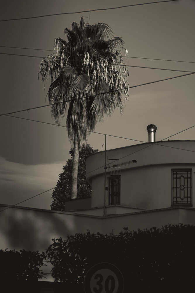 Fotografie und Medienservice (Fotografie und Medienservice)