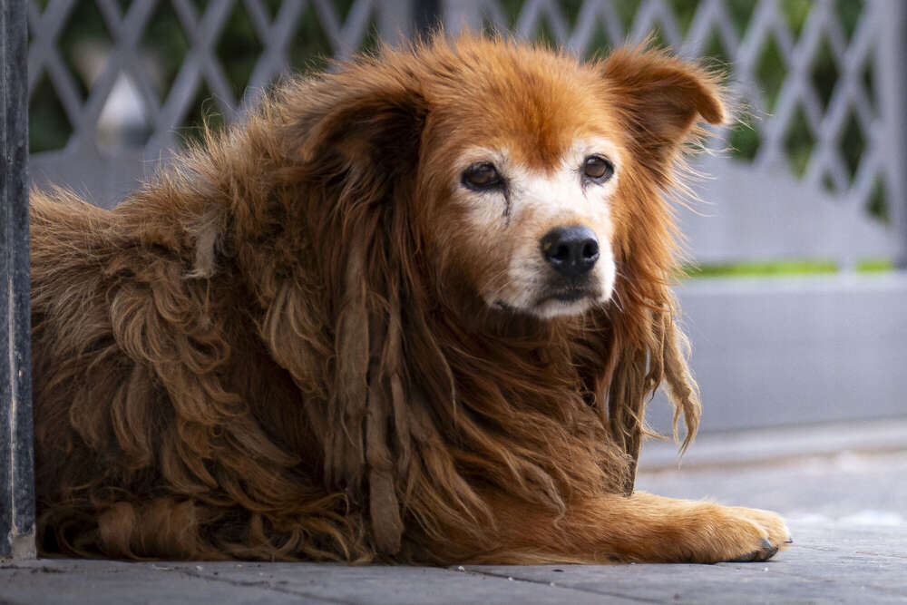 Fotografie und Medienservice (Fotografie und Medienservice)