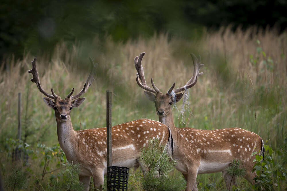 Fotografie und Medienservice (Fotografie und Medienservice)