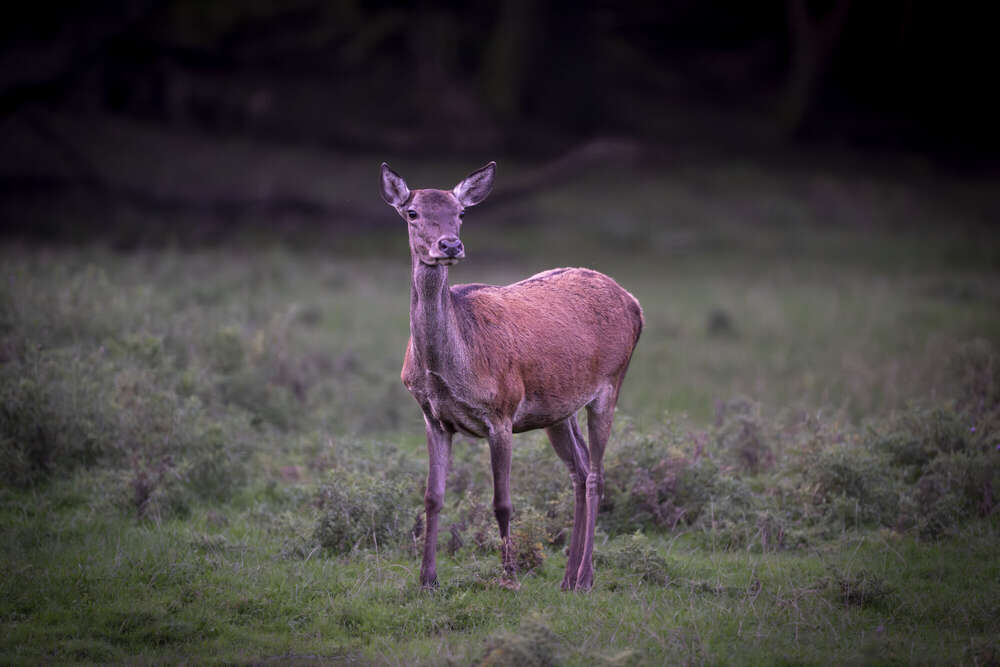 Fotografie und Medienservice (Fotografie und Medienservice)