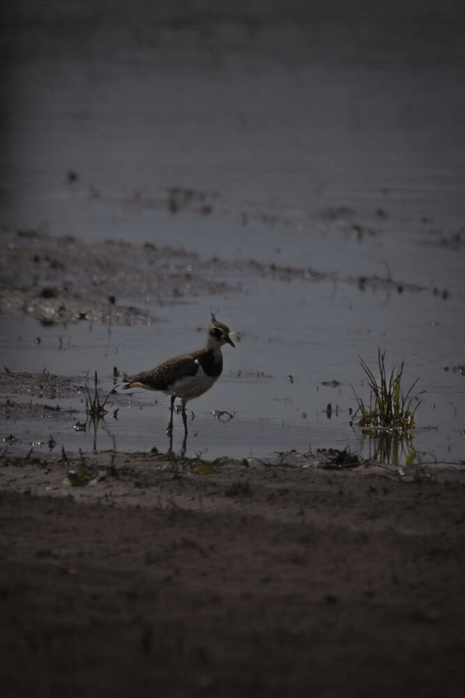 Fotografie und Medienservice