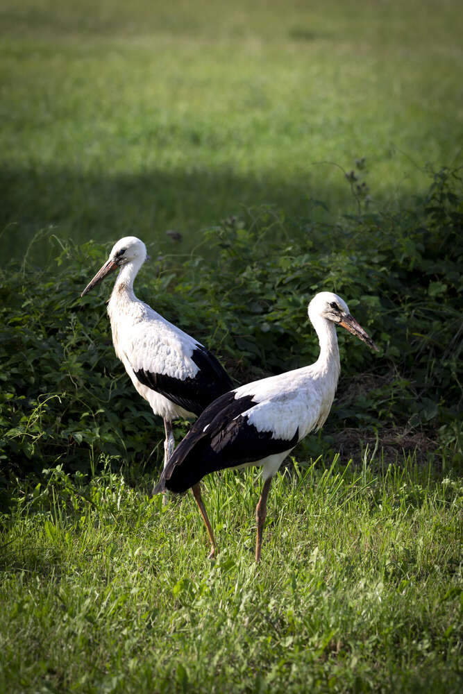Fotografie und Medienservice