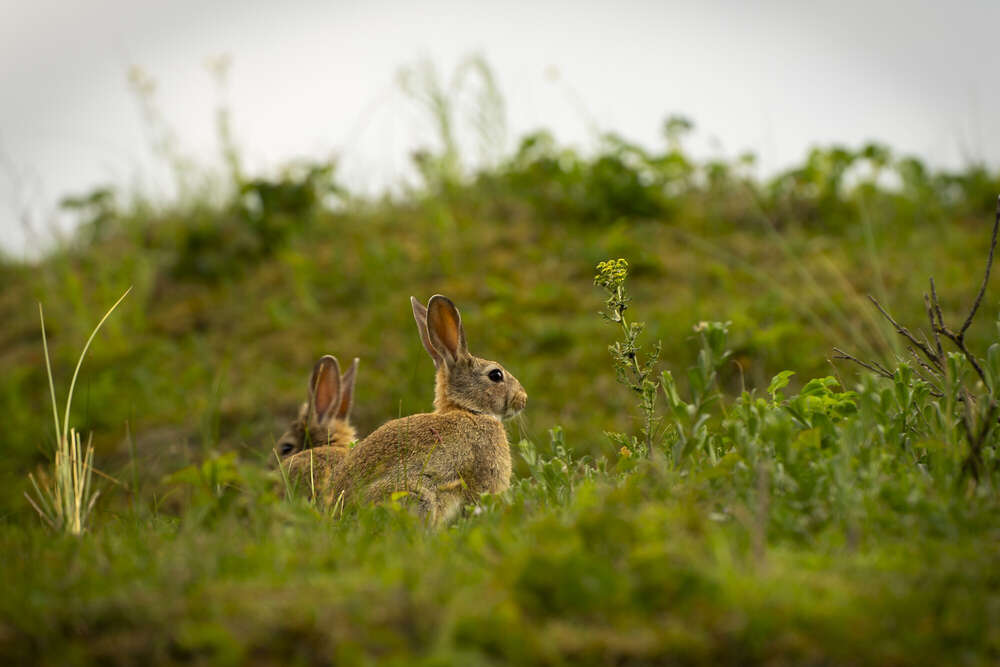Fotografie und Medienservice (Fotografie und Medienservice)