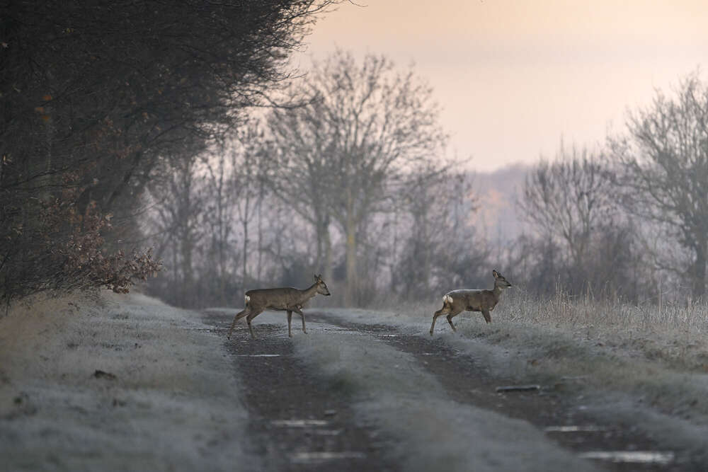 Fotografie und Medienservice (Fotografie und Medienservice)