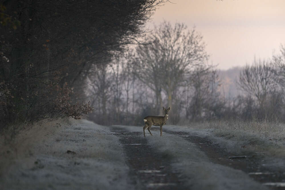 Fotografie und Medienservice (Fotografie und Medienservice)