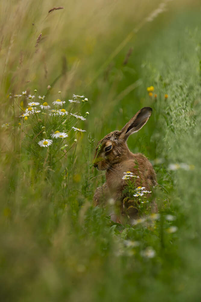 Fotografie und Medienservice (Fotografie und Medienservice)