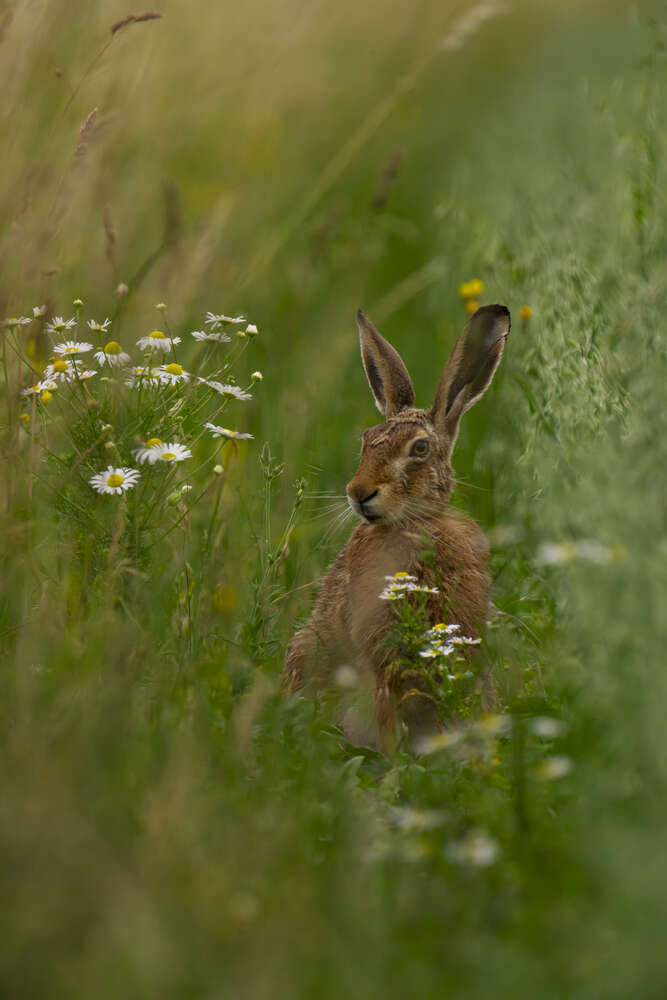 Fotografie und Medienservice (Fotografie und Medienservice)