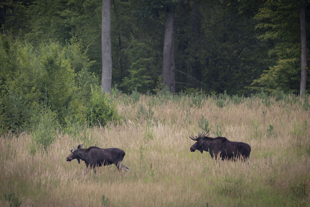 Fotografie und Medienservice (Fotografie und Medienservice)