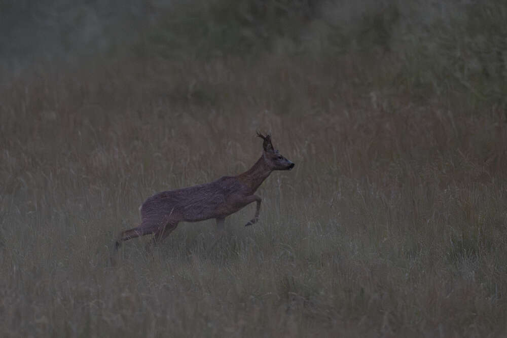 Fotografie und Medienservice (Fotografie und Medienservice)