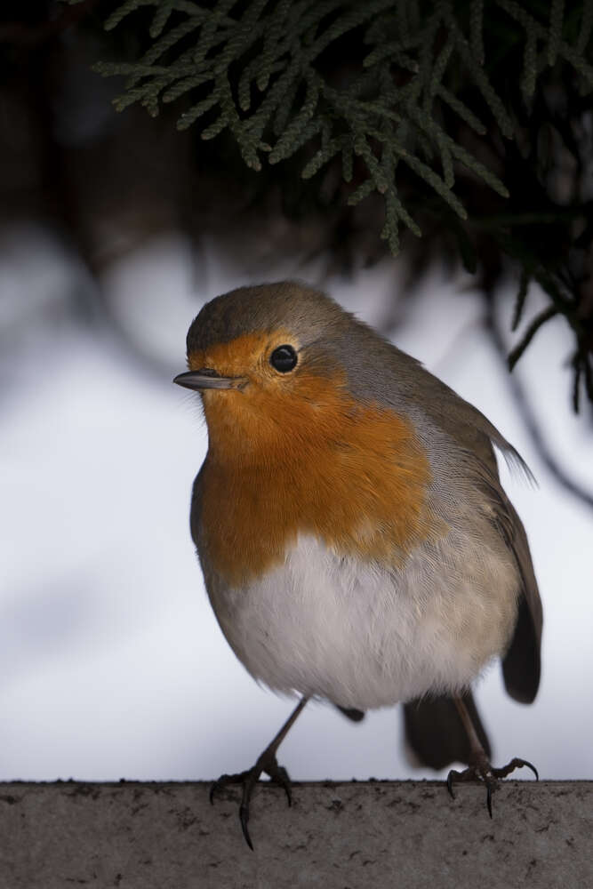 Fotografie und Medienservice