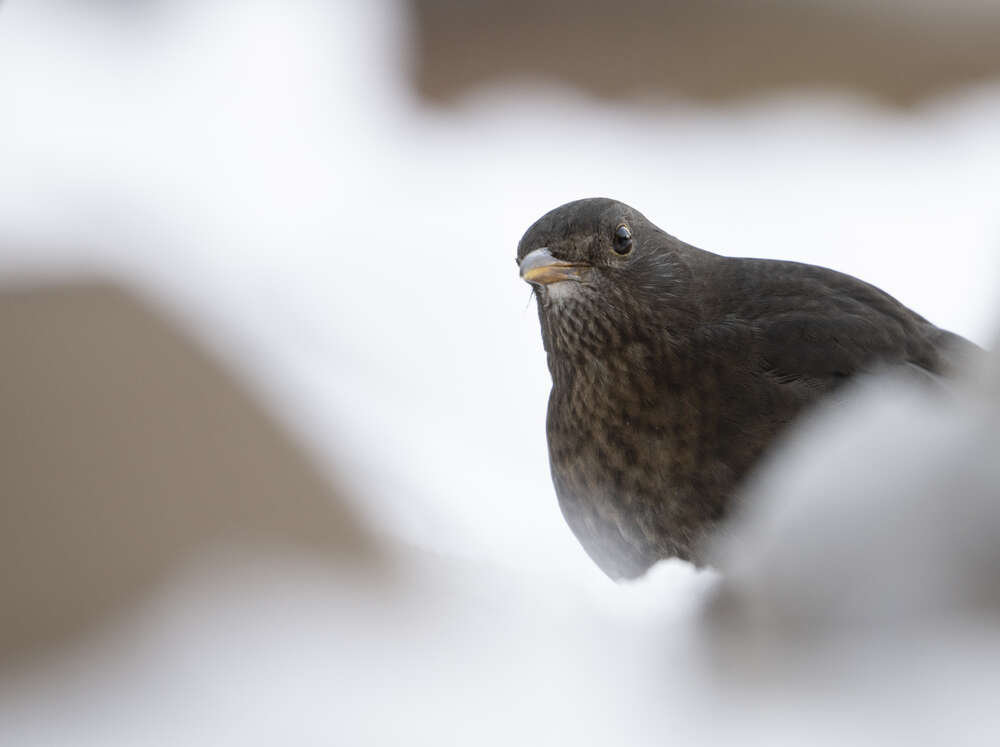 Fotografie und Medienservice