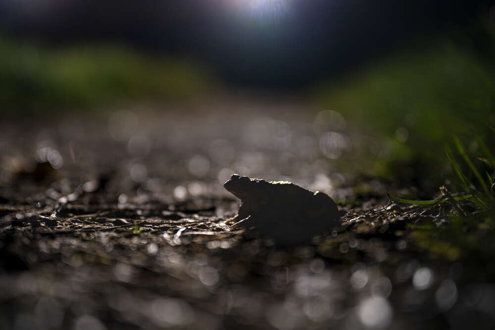 Fotografie und Medienservice (Fotografie und Medienservice)