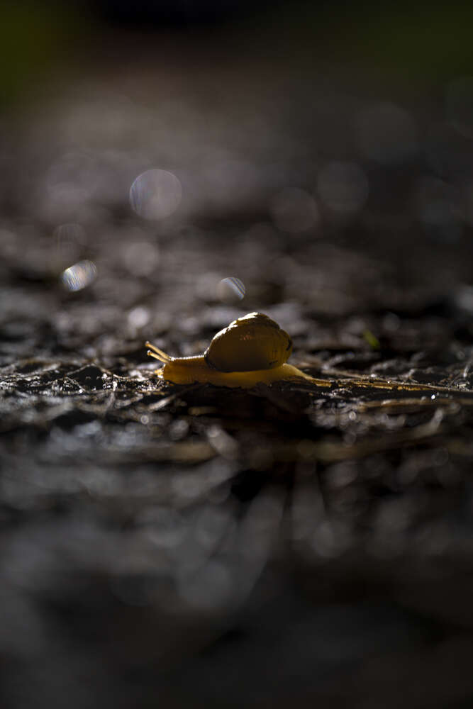 Fotografie und Medienservice