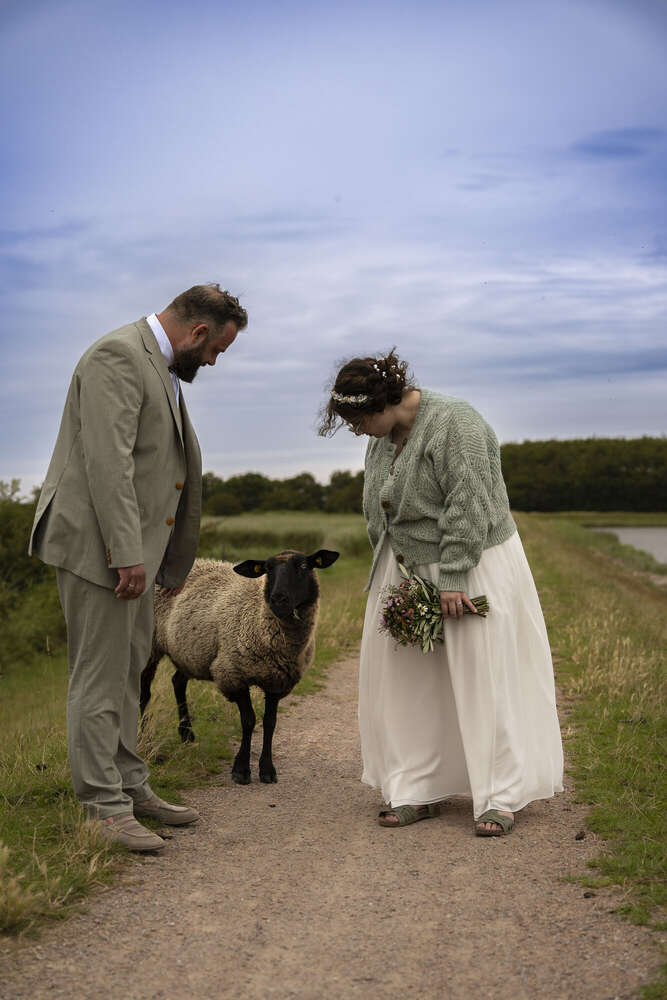 Fotografie und Medienservice (Fotografie und Medienservice)