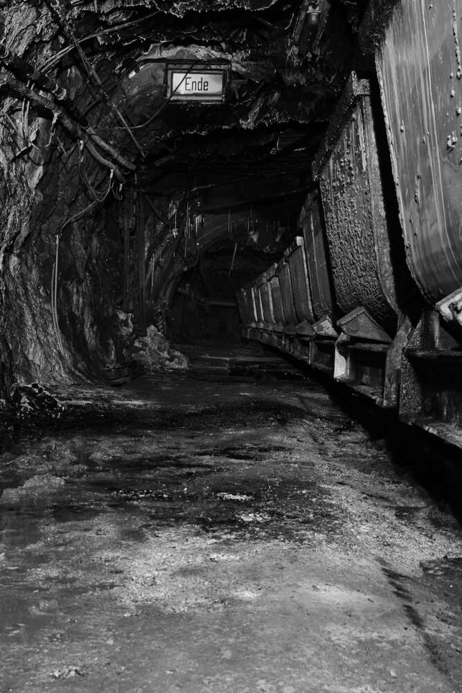 Fotografie und Medienservice (Fotografie und Medienservice)