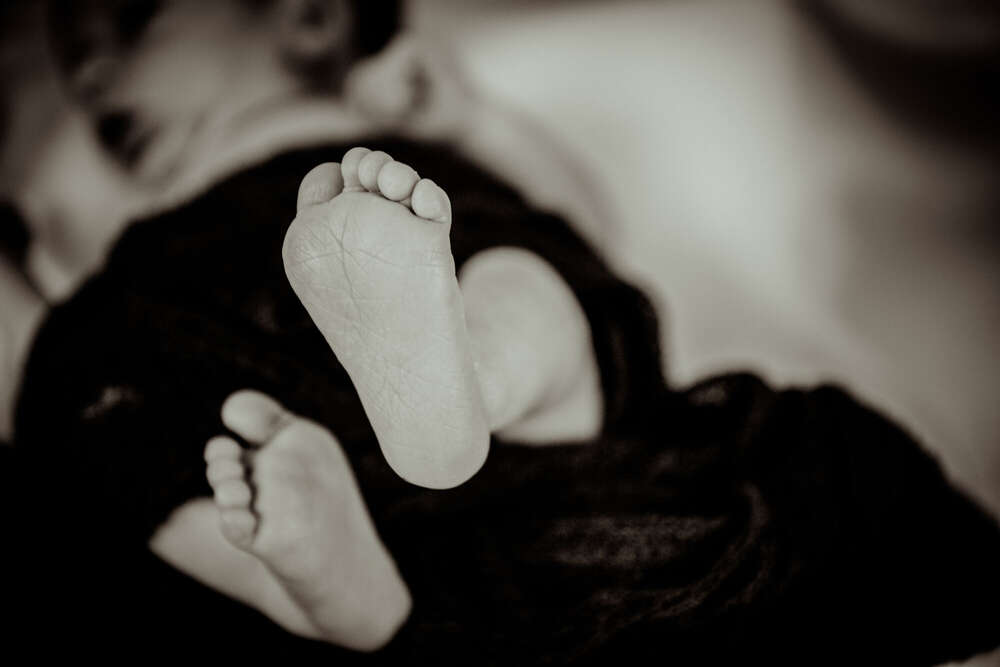 Claudia & Nicolai  Gulewicz  (Claudia & Nicolai  Gulewicz )