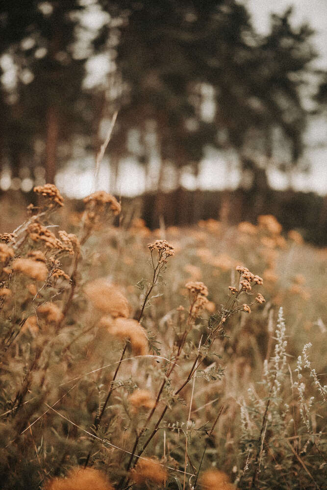 Timo Frütel (Timo Frütel)