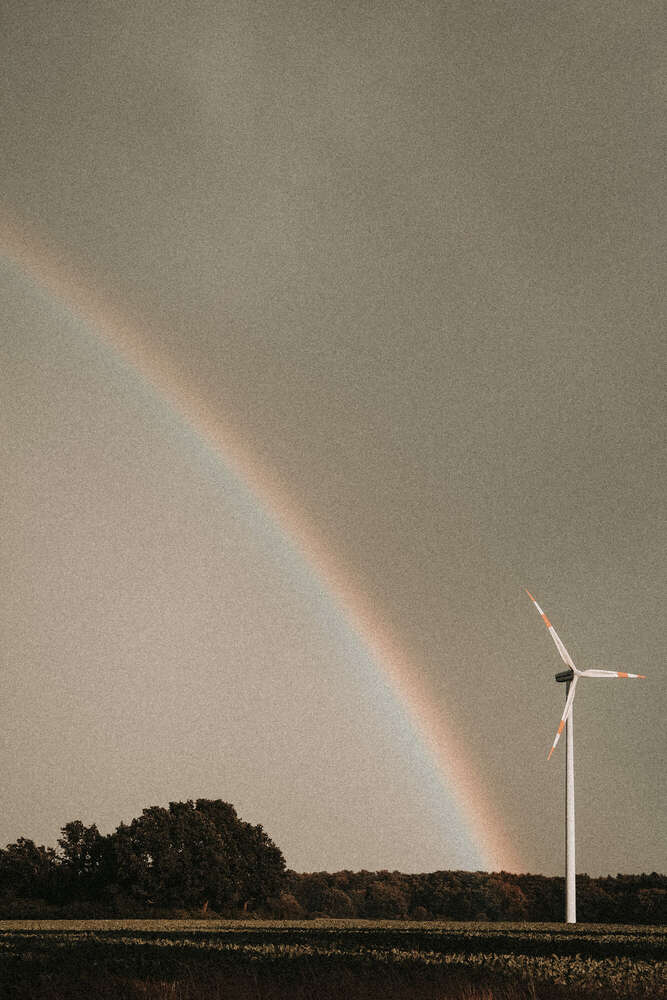 Timo Frütel (Timo Frütel)