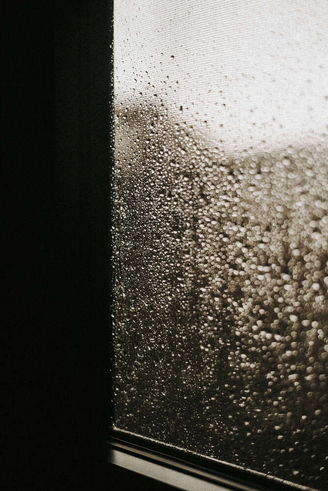 Timo Frütel (Timo Frütel)