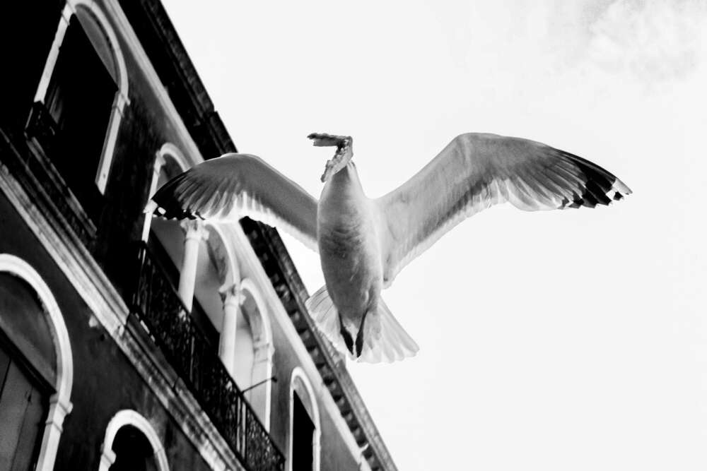 Timo Frütel (Timo Frütel)