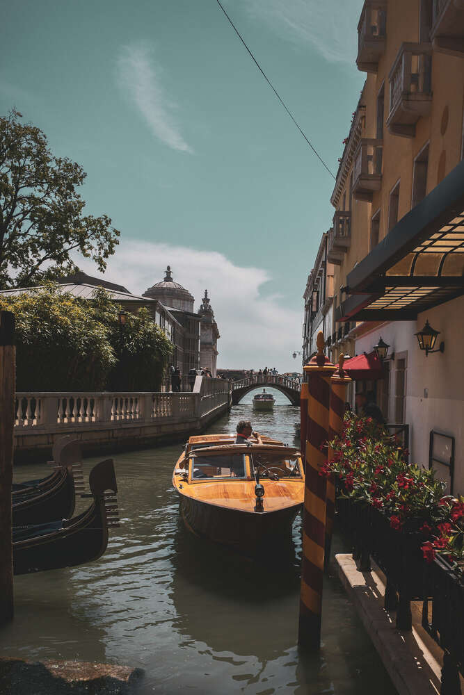 Timo Frütel (Timo Frütel)