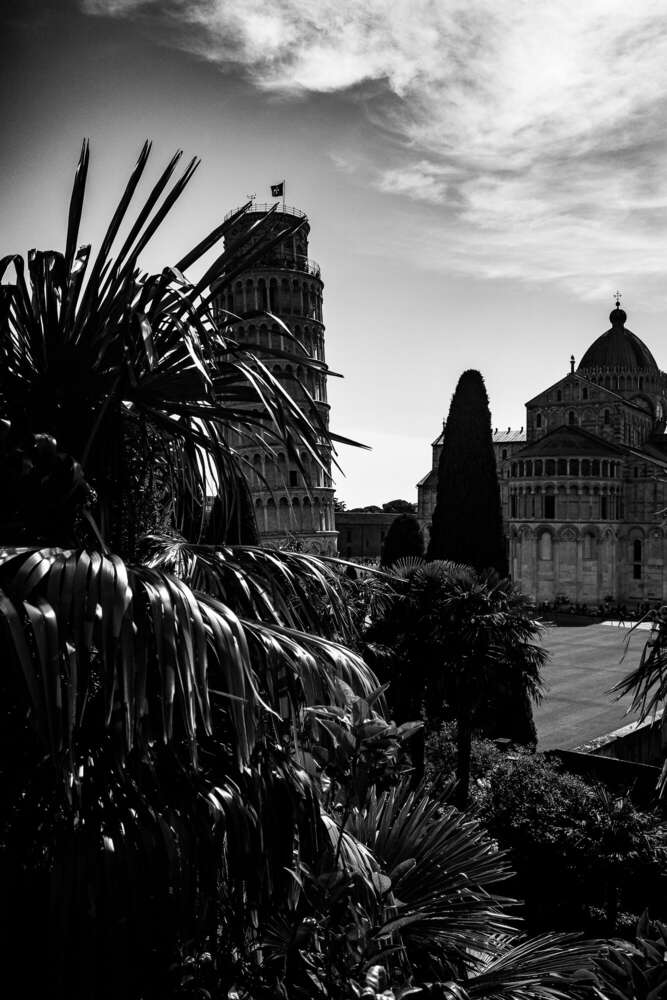 Timo Frütel (Timo Frütel)