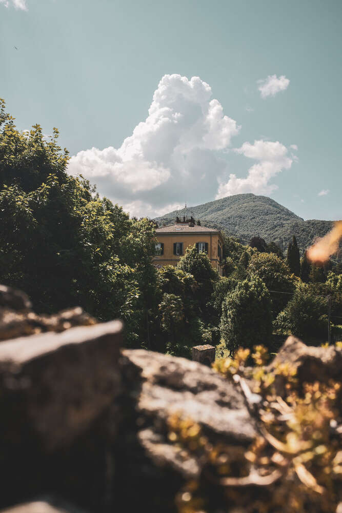 Timo Frütel (Timo Frütel)