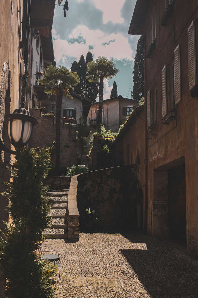 Timo Frütel (Timo Frütel)