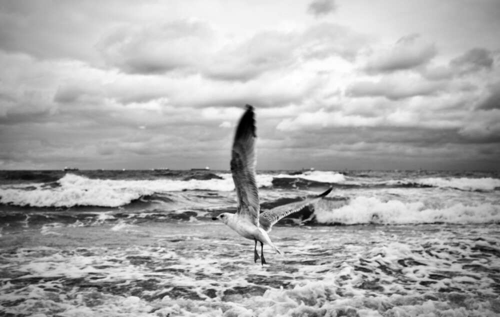 Timo Frütel (Timo Frütel)