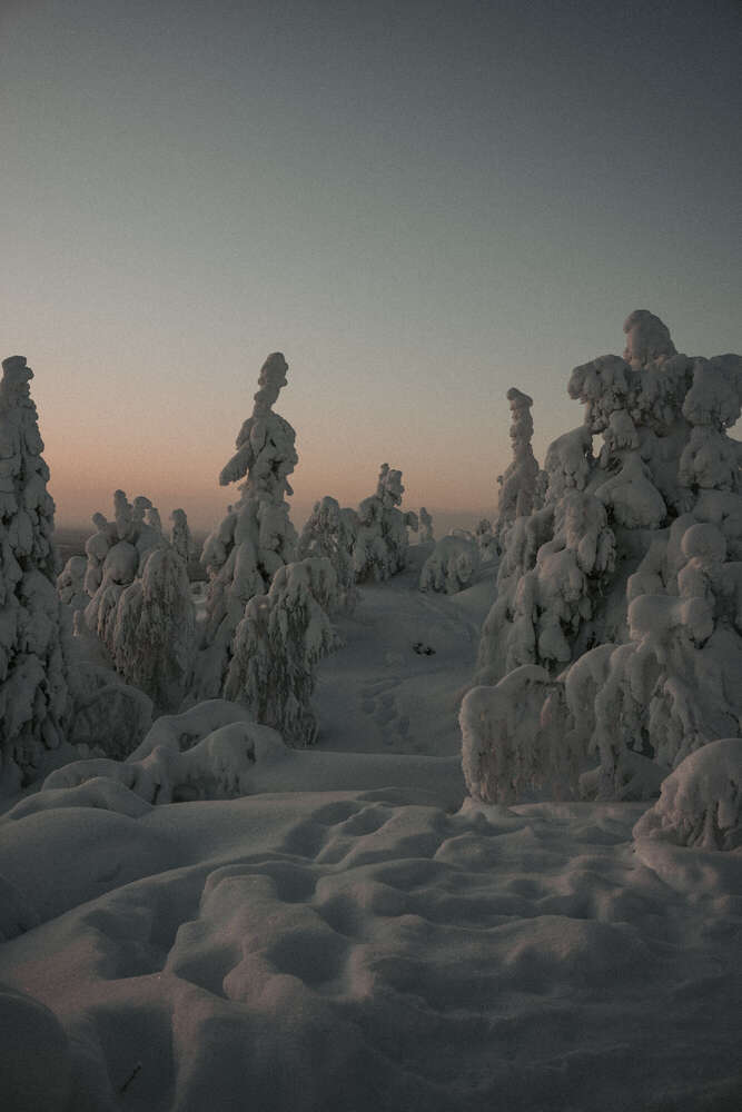 Timo Frütel (Timo Frütel)