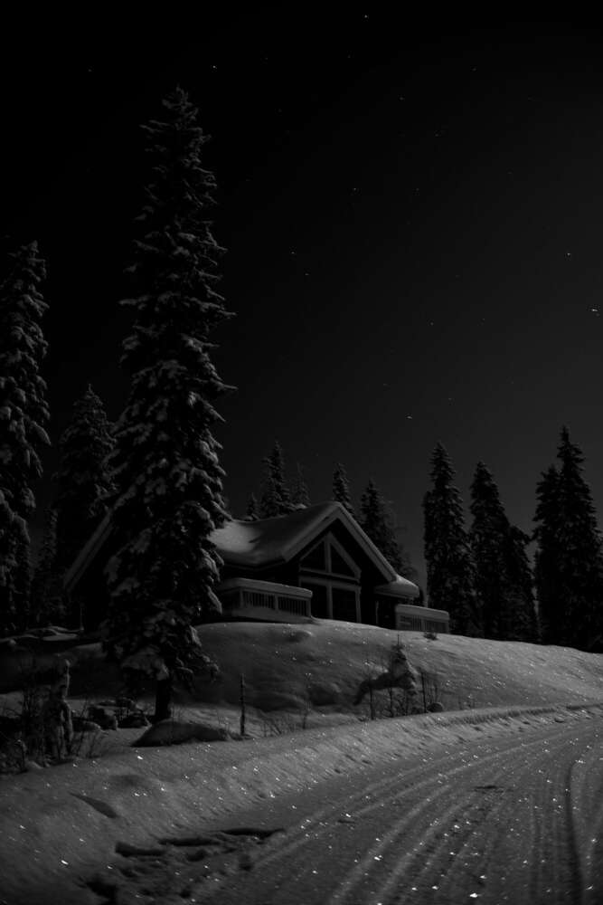 Timo Frütel (Timo Frütel)