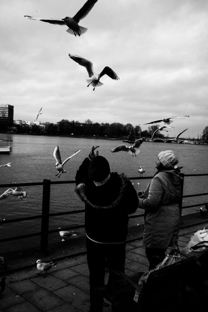 Timo Frütel (Timo Frütel)