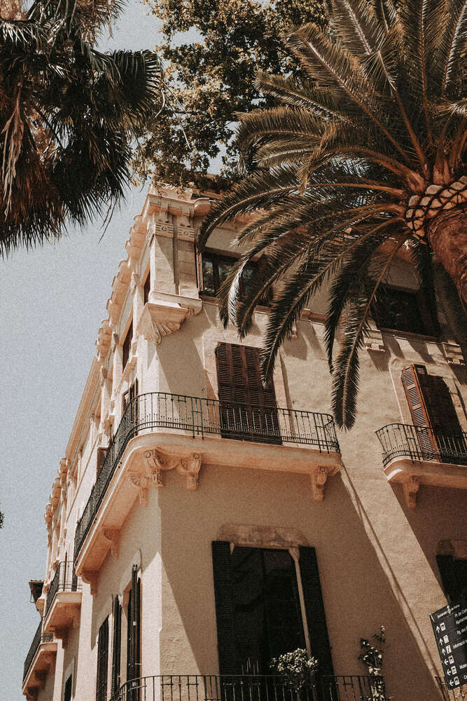 Timo Frütel (Timo Frütel)