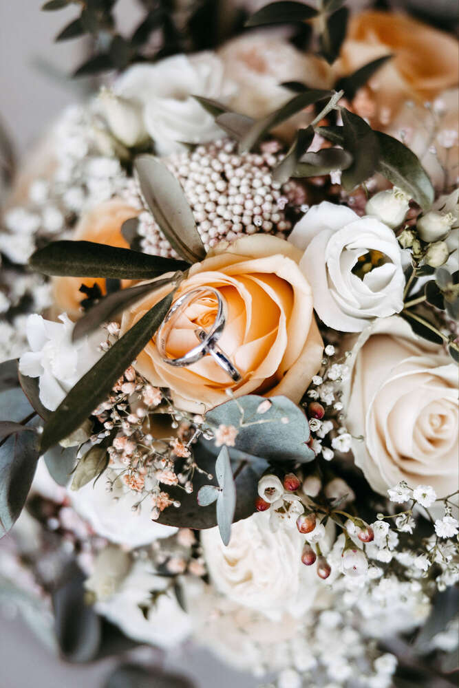 Alexander Pfeffel (Alexander Pfeffel)