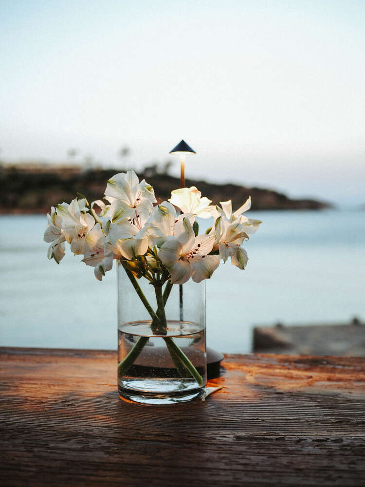 Visual Arts (Visual Arts)