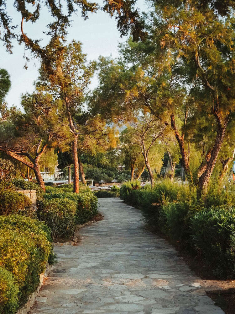 Visual Arts (Visual Arts)